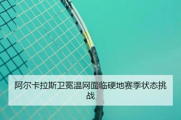 a-er-ka-la-si-wei-mian-wen-wang-mian-lin-ying-di-sai-ji-zhuang-tai-tiao-zhan-2-234.jpg